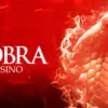 Cobra Casino