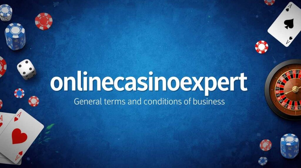terms and conditions of business